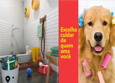 Galeria de imagens